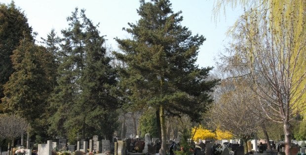 Pogrzeb Marcela Łozińskiego - w piątek na Powązkach Wojskowych