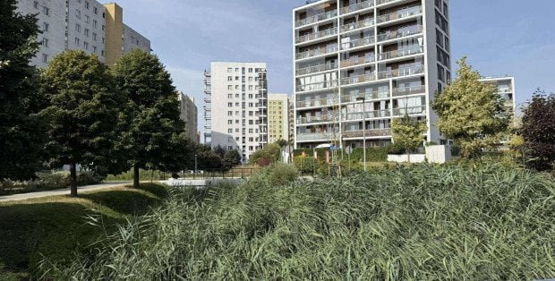 Będzie plan miejscowy dla terenów nad jeziorkiem Balaton. Czy to uchroni przed zabudową?