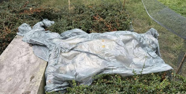 Rzeźba Aliny Szapocznikow niszczeje w żoliborskim parku. A spółdzielnia i dzielnica toczą spór