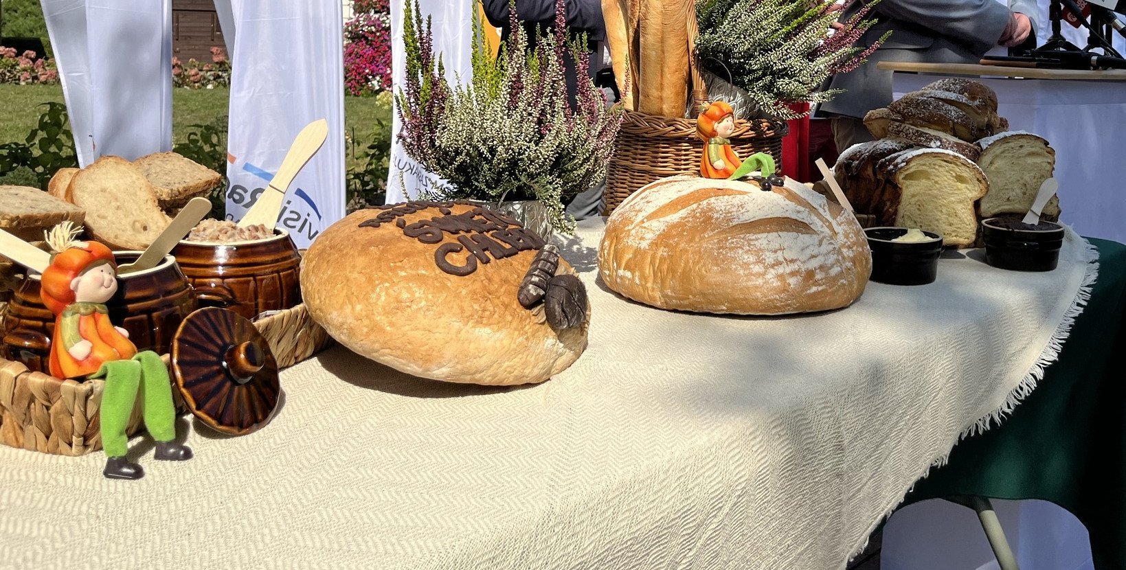 „Lokalność w każdym kęsie”. 27. edycja Święta Chleba w Radomiu