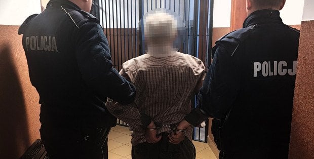 Miał zaatakować psa siekierą. 67-latkowi grozi do 5 lat więzienia