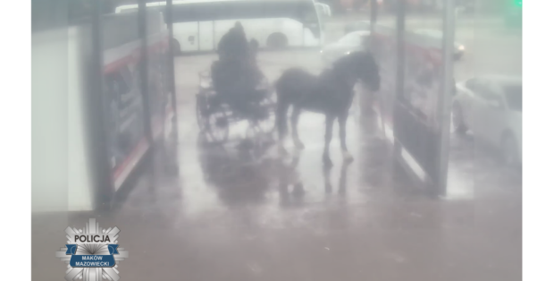 Umył konia myjką ciśnieniową. Sprawa wraca do ponownego rozpatrzenia