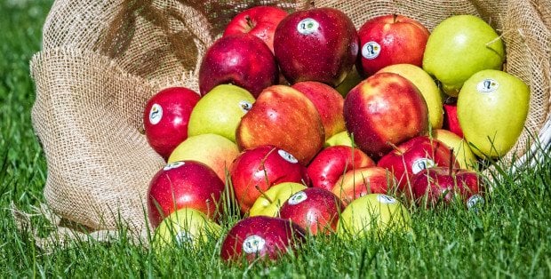 „Lokalna duma”. Festiwal Jabłka w Grójcu i specjalna audycja w RDC