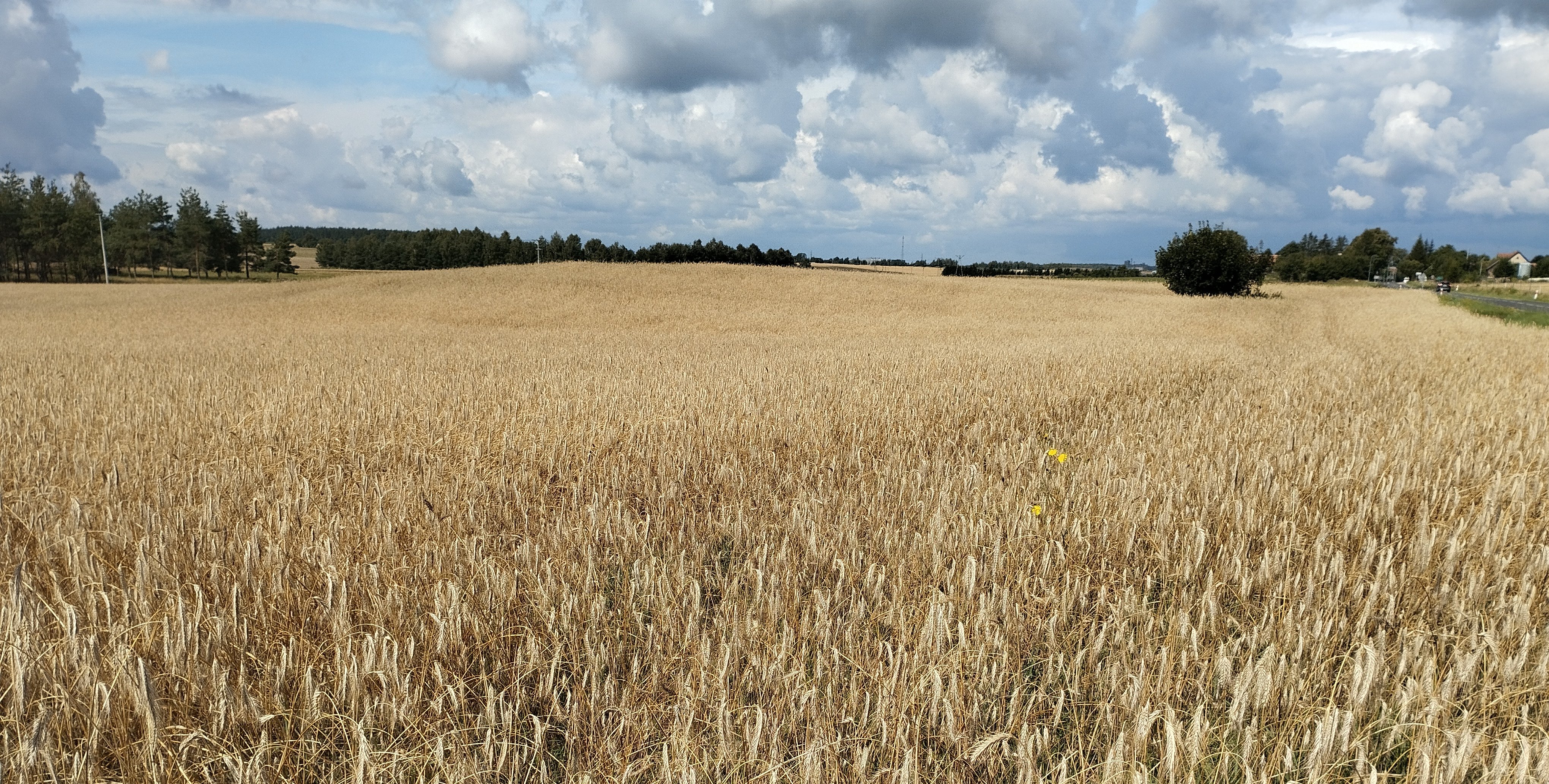 Deszcze, susza, wreszcie trochę słońca. Pogodowe podsumowanie lata 2025