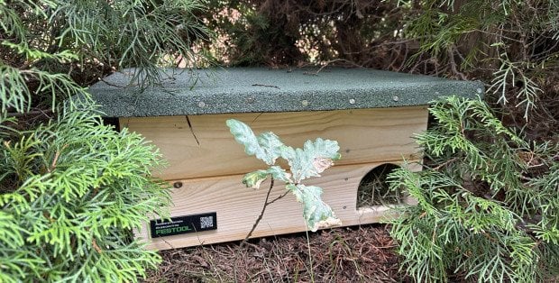 Pomogą przetrwać zimę. W Parku w Powsinie ustawiono 21 domów dla jeży