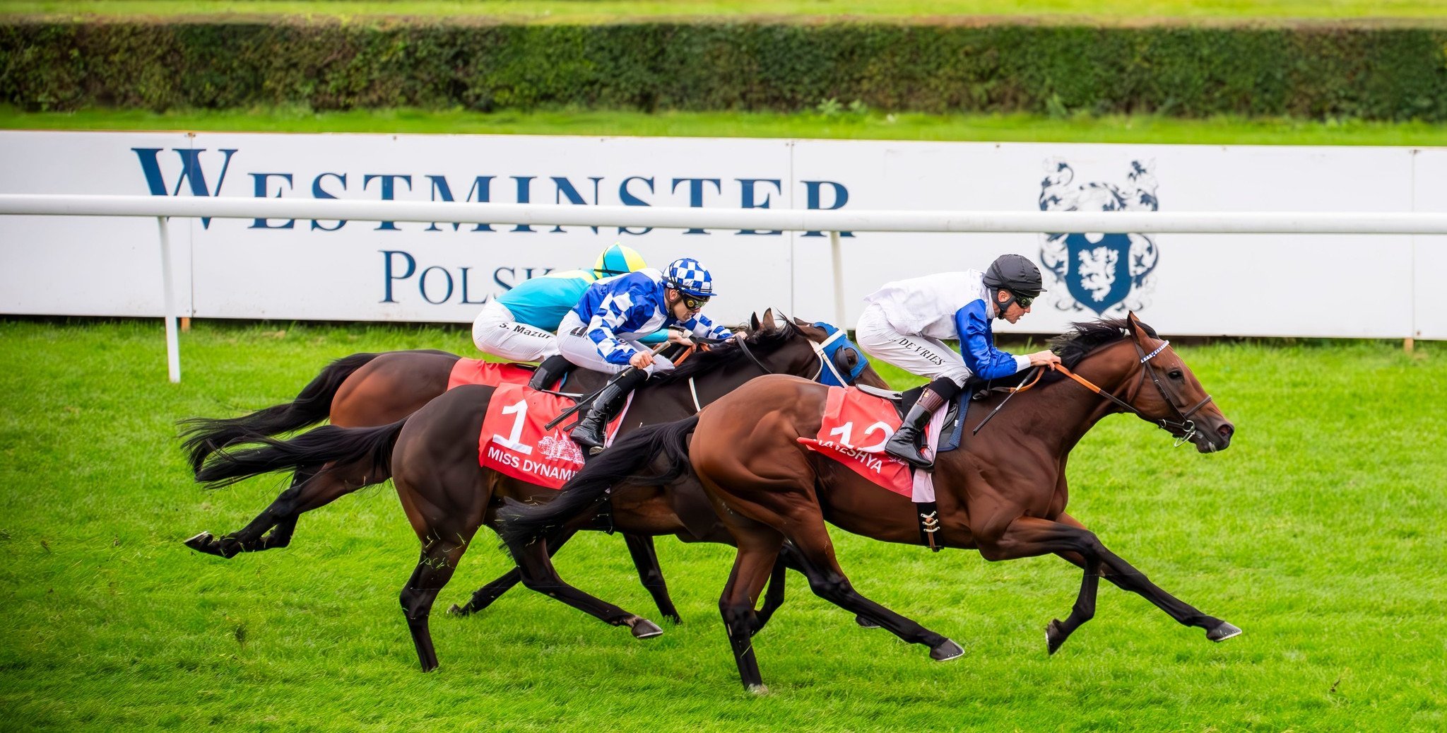 Wyścigowe święto stolicy powraca. Wielka Warszawska już 28 września