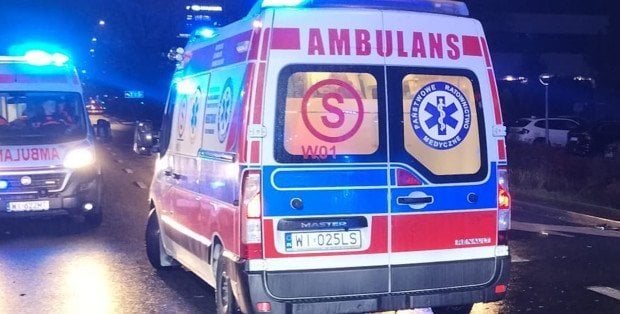 Zderzyli się z łosiem. Dwie osoby w szpitalu po wypadku na A2