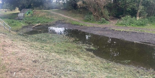 Czy bobry zagrażają bezpieczeństwu? Walka z tamami w Potoku Służewieckim