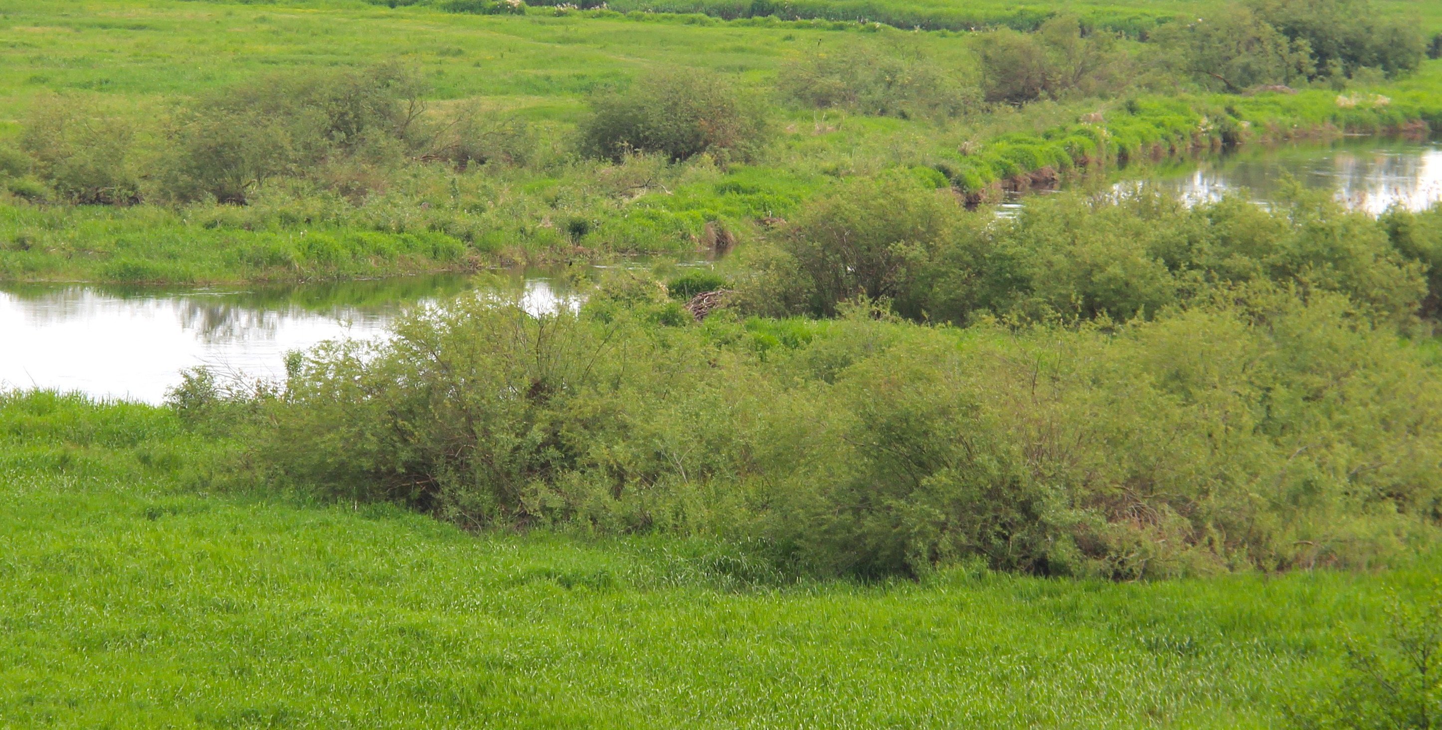 Akcje ochrony fauny EAZA dziś w „Latającym radiu doktora Kruszewicza”