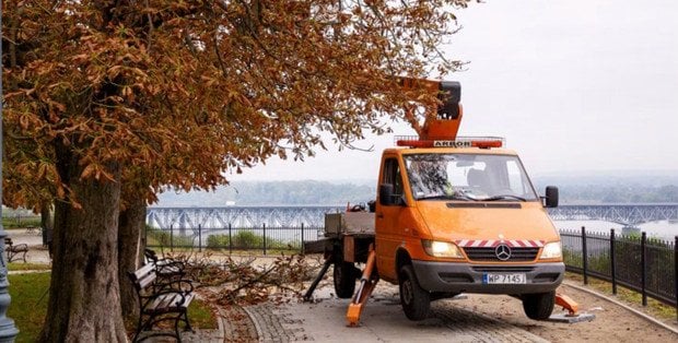 Znikną połamane gałęzie. Wielkie porządki w Jarze Abisynia