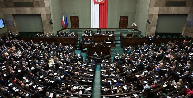 Sejm za zakazem hodowli zwierząt na futra. Co mają zrobić przedsiębiorcy?