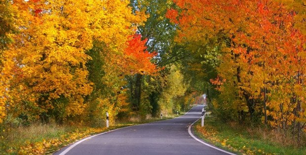 Jest coraz chłodniej i dni stają się coraz krótsze. Kiedy przestawimy zegarki na czas zimowy?