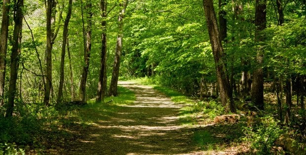 Co z zielonym pierścieniem Warszawy? Dziś w Sejmie posiedzenie w tej sprawie