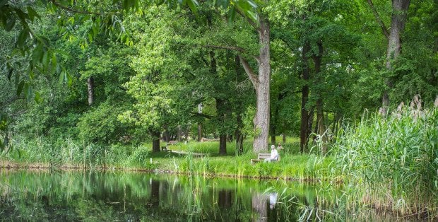 Odbyło się posiedzenie Sejmu ws. Zielonego Pierścienia Warszawy