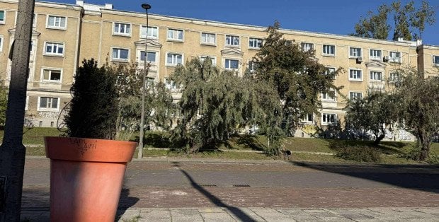 Zamiast jedynego marketu, fontanna z żabkami. Mieszkańcy Woli przeciwni planom miasta