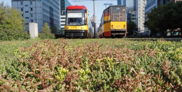 Wjechał na torowisko i uciekł z miejsca zdarzenia. Jest poszukiwany przez policję