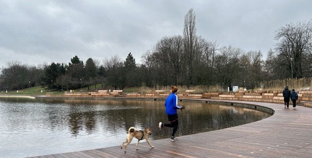 Co z tramwajem wzdłuż Pola Mokotowskiego? Radni apelują, prezydent ma wątpliwości