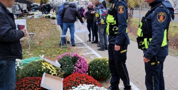 Setki strażników miejskich podczas akcji Znicz i Hiena. Jak zachować bezpieczeństwo?