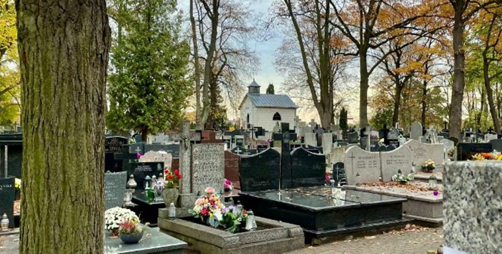 Ostatnie pilne porządki przy warszawskich cmentarzach