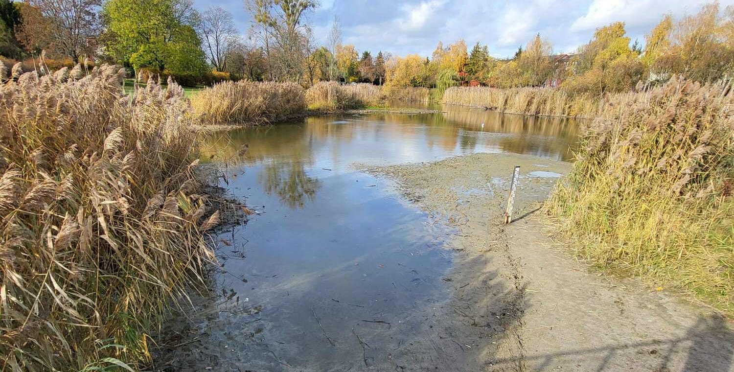 Czy Staw Koziorożca zniknie? Urokliwy zbiornik we Włochach wysycha