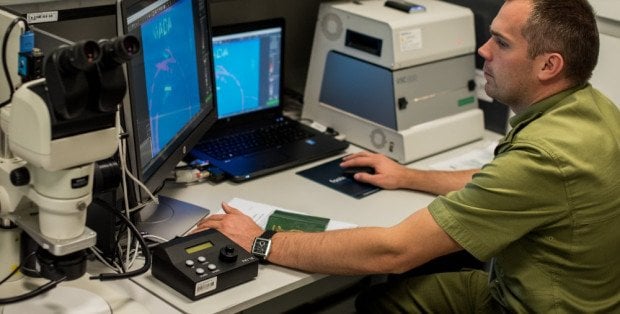 Chciał dostać się do Polski z podrobionymi dokumentami. Tłumaczył, iż kupił je w Indiach