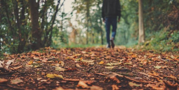 Zakaz używania dmuchaw do liści na Mazowszu. Co grozi za jego złamanie?