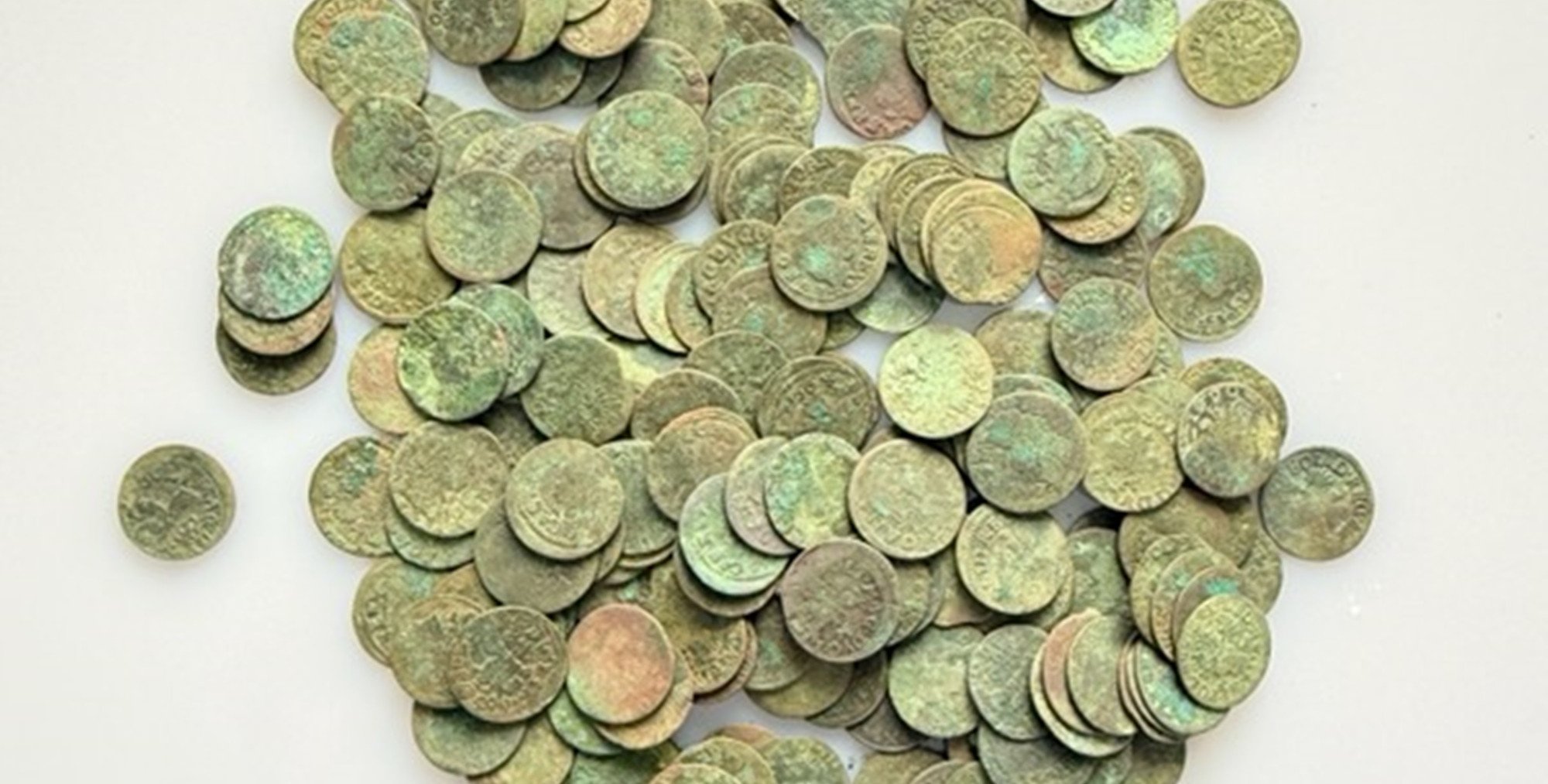 Skarb w Raciążu! Na prywatnej posesji znaleziono 360 szelągów z II poł. XVII wieku