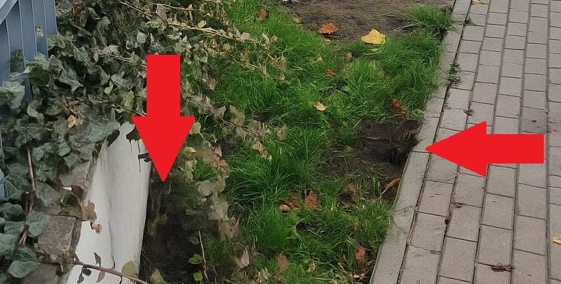 „Kopacze” szukają narkotyków w ziemi. „To niepokojące zdarzenia”