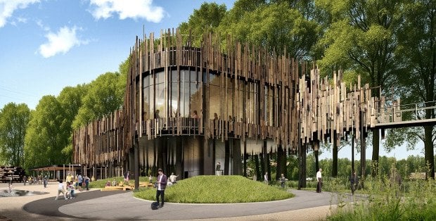 Jedyne takie miejsce na świecie. W gminie Zbuczyn ma powstać Dom Bociana