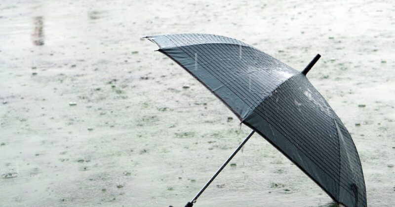 Zielona Góra – sprawdź prognozę pogody w dniu 07.04.2025