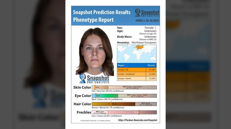 Ze stawu w Drzewinie wyłowili ciało kobiety bez głowy. Teraz ujawnili jej możliwy wizerunek