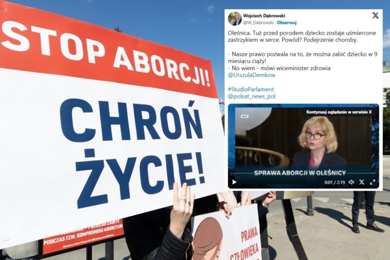 Zabójstwo Felka. Szokujące słowa wiceminister zdrowia. WIDEO