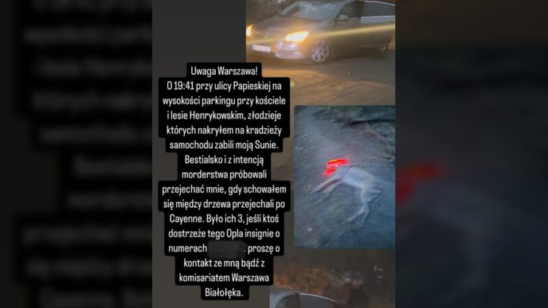 Podczas spaceru zauważył próbę kradzieży samochodu. Sprawcy potrącili śmiertelnie jego psa