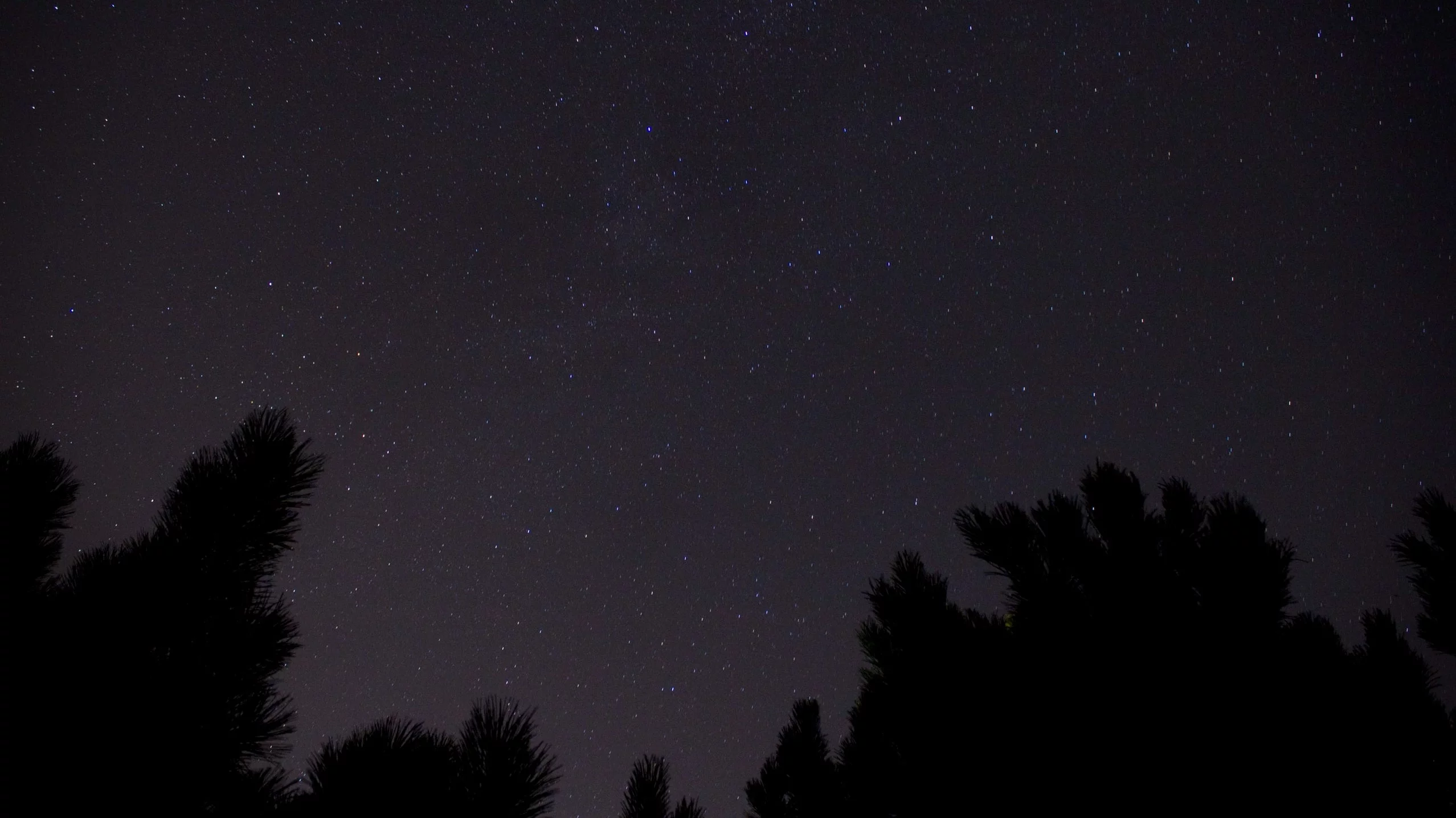 Fałszywy Pas Oriona zachwyci Polaków. Warto spojrzeć w nocne niebo