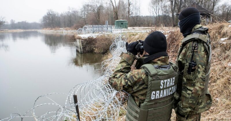 Wycinka drzew na granicy z Białorusią. „Kompletnie ogołocone”