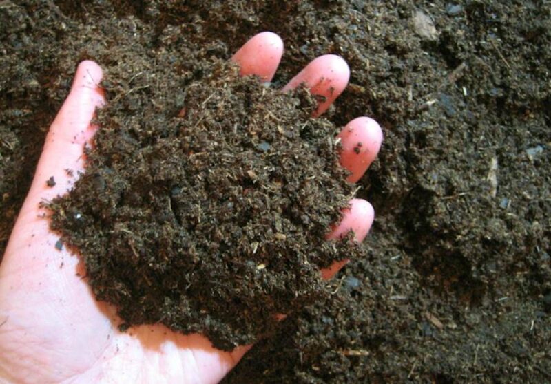 Naukowcy zidentyfikowali nowy typ mikrobów. Żyją głęboko pod ziemią i oczyszczają wodę