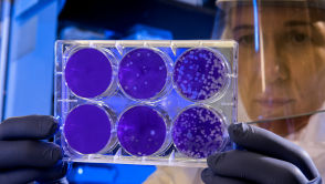 „Mushballe” – oto kuliste burze amoniaku na Jowiszu