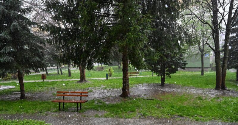 „Zapowiada się tragedia dla rolników”. Skutki gradobicia w Tarnogrodzie mogą być katastrofalne