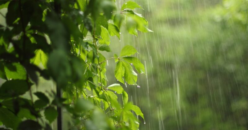 Deszcze i burze. Pogoda szykuje prawdziwy lany poniedziałek