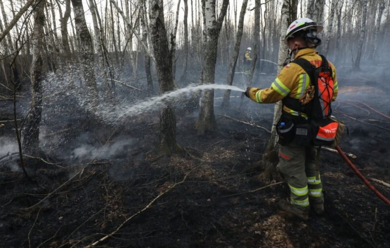 Znamy skalę pożaru Biebrzańskiego Parku Narodowego!