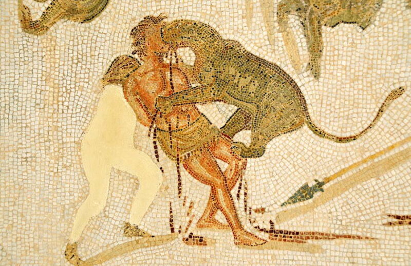 Odkryto szkielet gladiatora ze śladami po zębach lwa