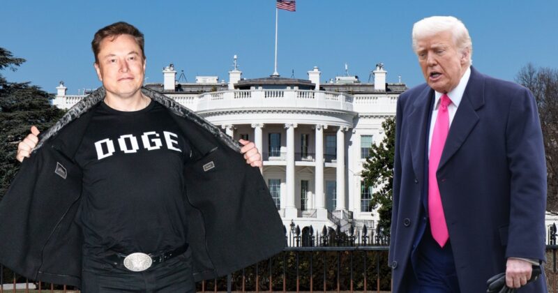 «Он закончил». Илон Маск ушел. «Мы зашли слишком далеко»