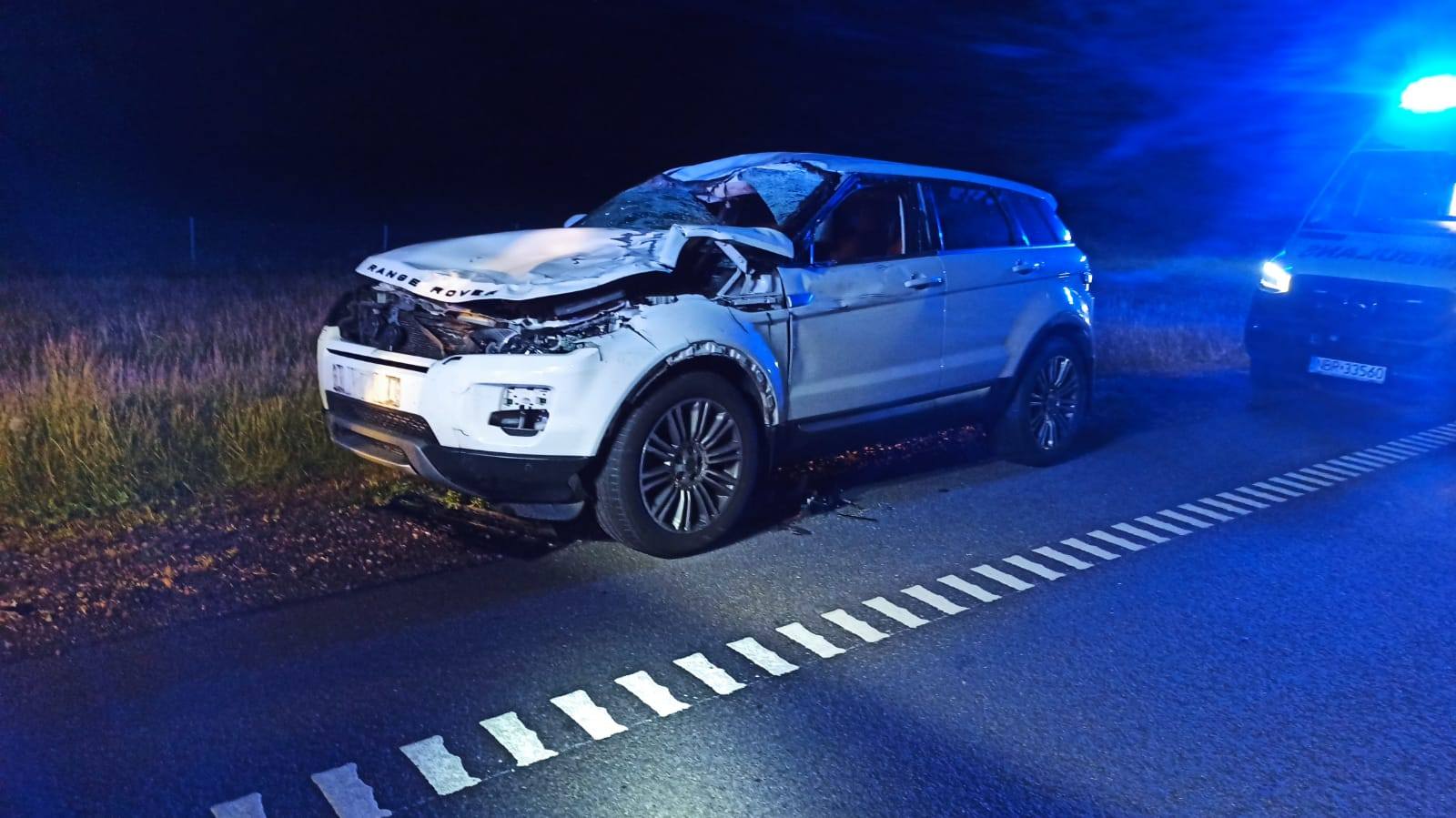 Zderzenie z łosiem na S22. Strażacy apelują o ostrożność