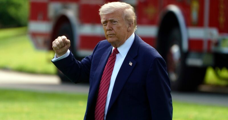 Donald Trump szykuje kolejny cios w Harvard. „Bardzo potrzebna inwestycja”