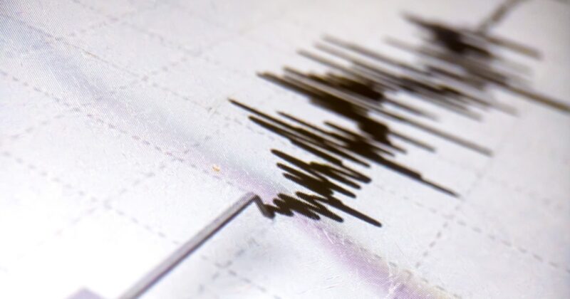 Silne trzęsienie ziemi w Japonii. „Przez około 10 sekund było wiele wstrząsów”