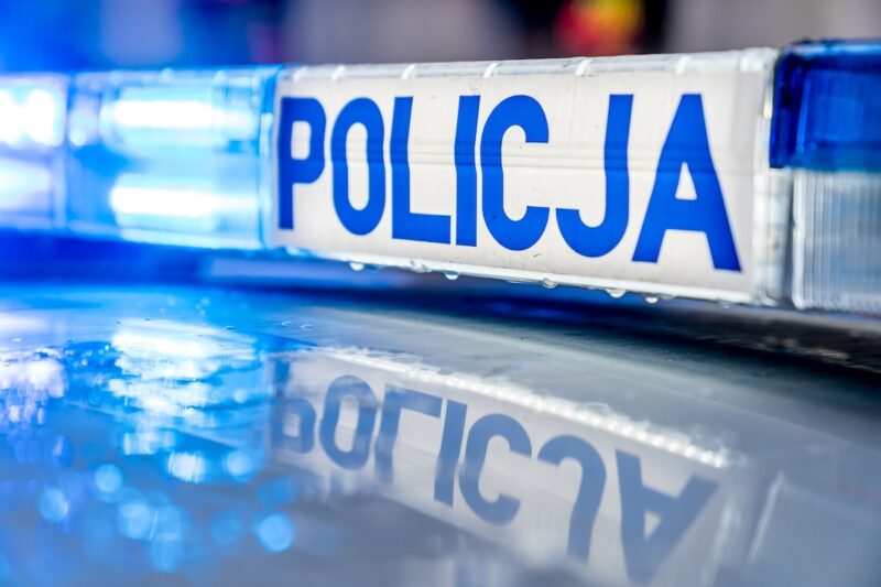 Śmiertelny wypadek na Wisłostradzie. Podejrzani w areszcie