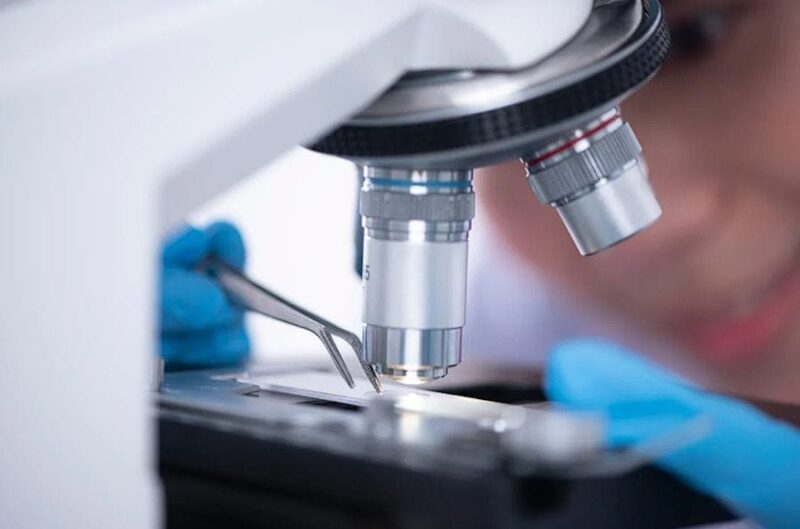 Rośliny mogą pomóc tam, gdzie zawodzą antybiotyki