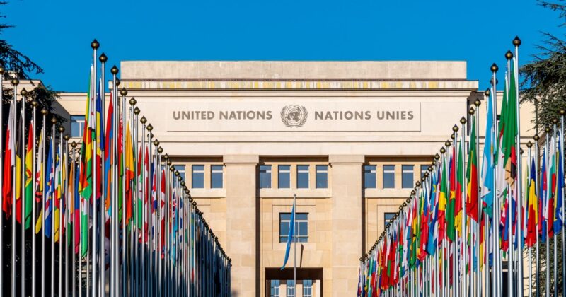 Alarmujące dane ONZ. „Ogromne zaniepokojenie” utrzymującym się niewolnictwem w Brazylii