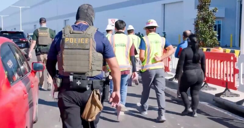 Obława na imigrantów w Bostonie. „Uwielbiam zapach deportacji”