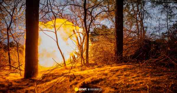 Europa wypadła z gry. Jeszcze nie wie, ile przyjdzie jej zapłacić za wojnę w Ukrainie. „Konsekwencje będą tragiczne”
